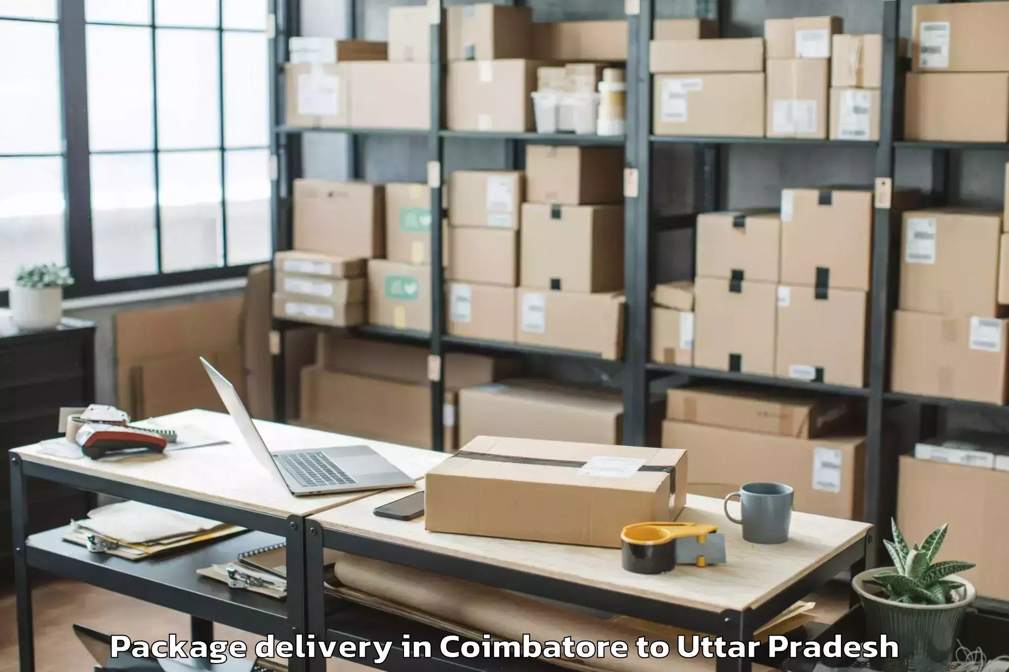 Book Coimbatore to Hata Package Delivery Online